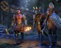Zenimax Bans Raid Group After Reporting Exploit in The Elder Scrolls Online